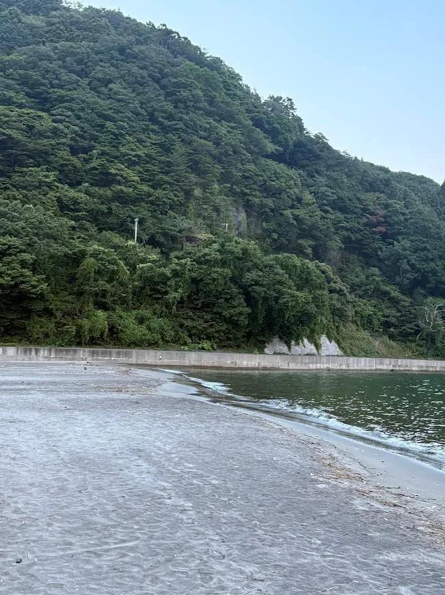 砂浜