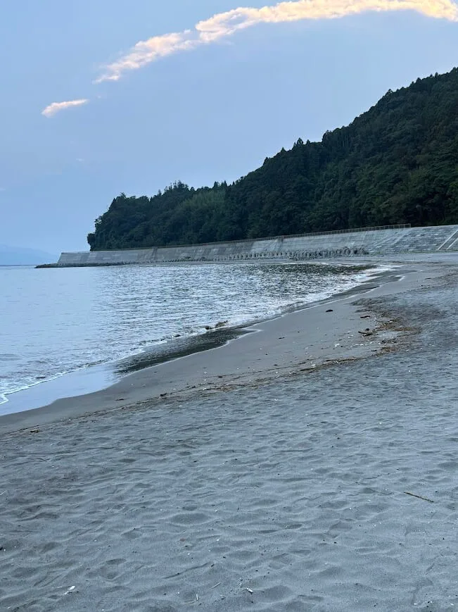 砂浜