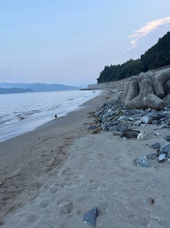 砂浜