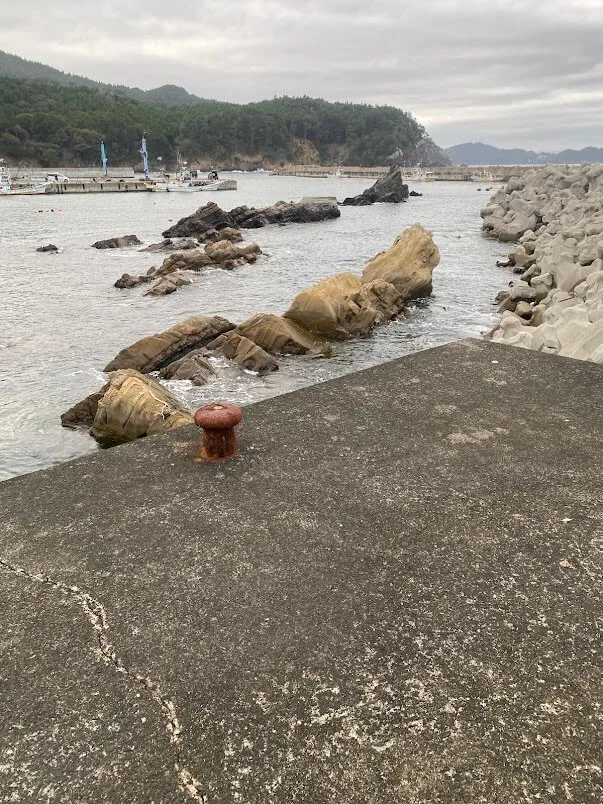 港内の岩礁