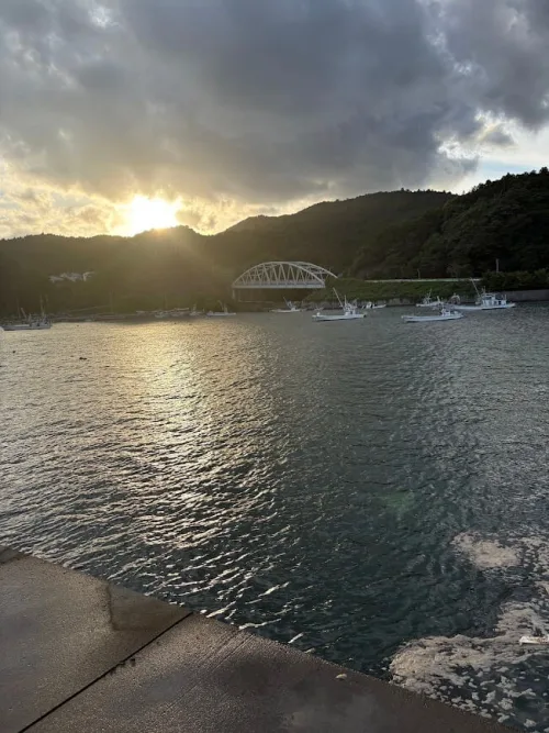 漁港内