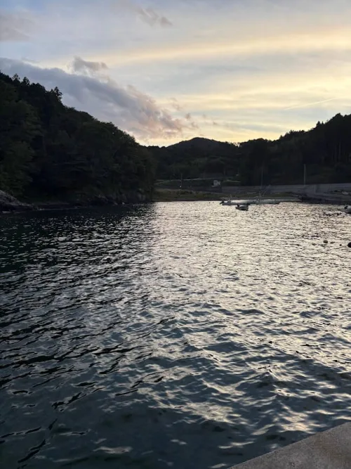 漁港内