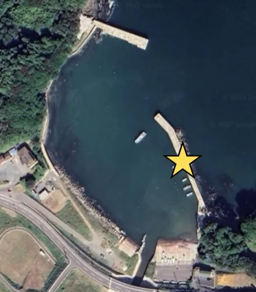 Googleマップの画像