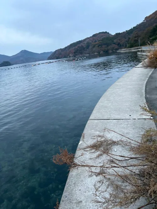 道路沿いの海