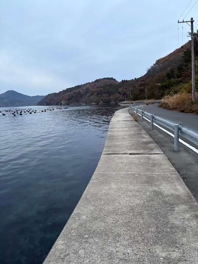道路沿いの海