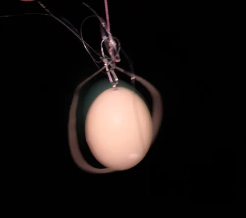 絡まったフロート