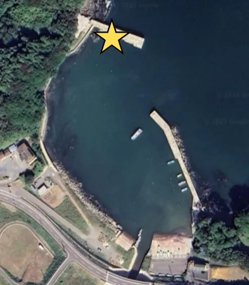 Googleマップの画像