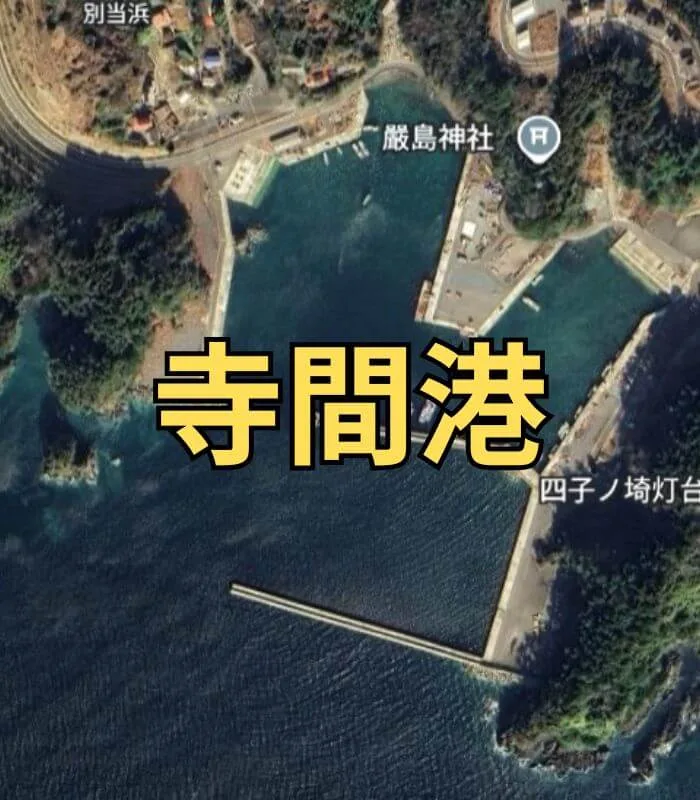 Googleマップの画像