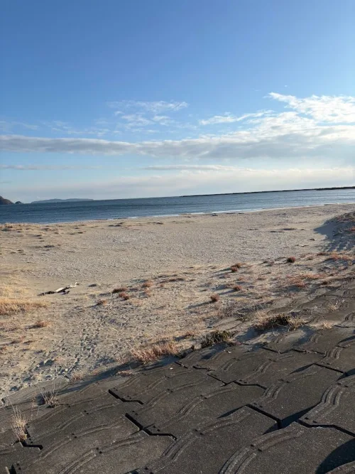 砂浜