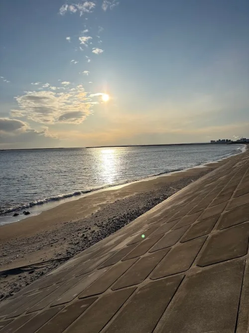 砂浜